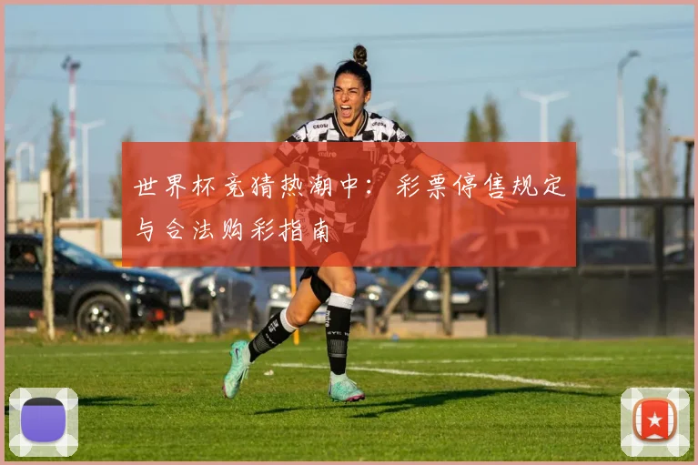 世界杯竞猜热潮中：彩票停售规定与合法购彩指南