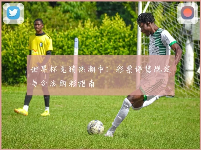 世界杯竞猜热潮中：彩票停售规定与合法购彩指南